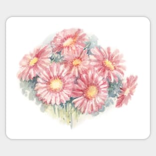 Pink Gerbera Hybrida. Watercolor Illustration. Sticker